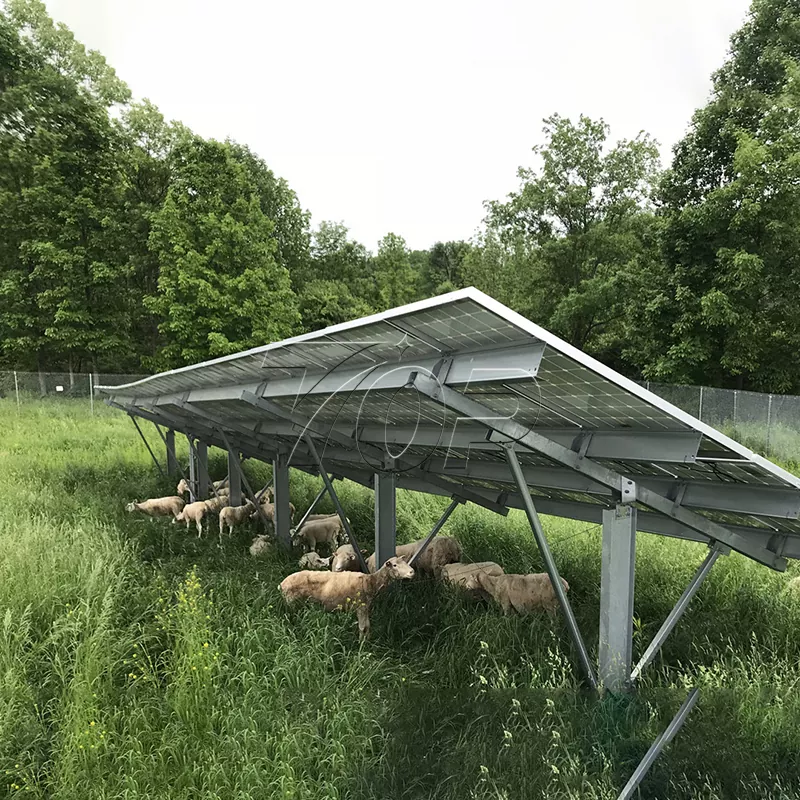 Zonne -power boerderij